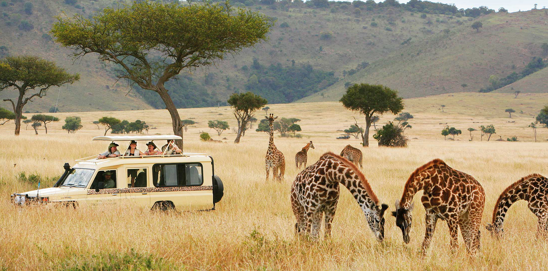 Africa Safari